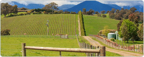 Hotels PayPal in Yarra Valley  Australia