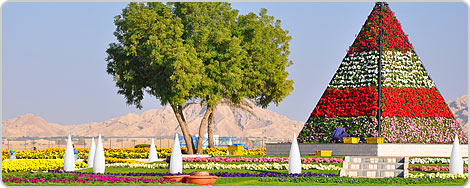 Hotels PayPal in Al Ain  United Arab Emirates